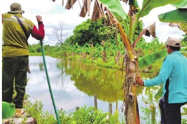 BKSDA Pos Jaga Sampit saat meninjau lokasi kemunculan buaya di Desa Ganepo