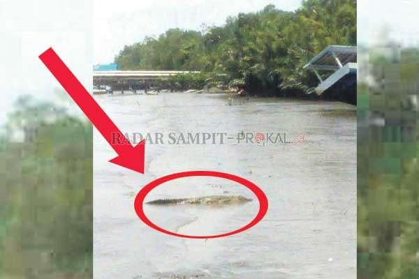 Sungai Kumai