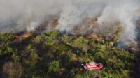 Tim gabungan berusaha memadamkan api di lahan kosong
