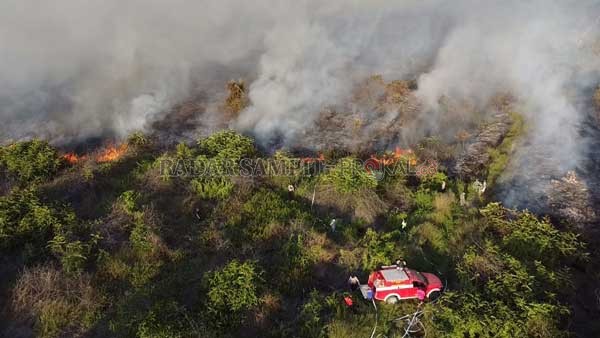 Tim gabungan berusaha memadamkan api di lahan kosong
