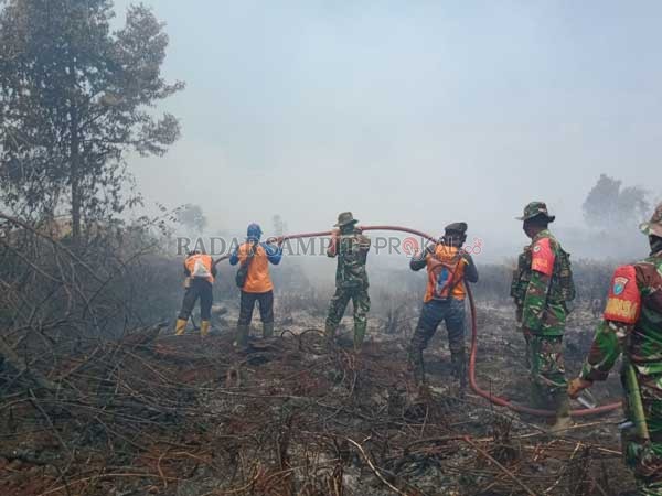 Karhutla di Kilometer 12 Jalan Pangkalan Bun-Kotawaringin Lama