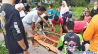 Petugas PMI dibantu warga mengevakuasi korban laka lantas yang meninggal dunia di Jalan HM Arsyad Km 20