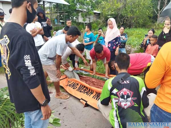 Petugas PMI dibantu warga mengevakuasi korban laka lantas yang meninggal dunia di Jalan HM Arsyad Km 20