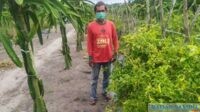 Petani Sukses di Pangkalan Bun