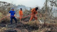 Upaya pemadaman dan pendinginan lahan gambut bekas kebakaran terus dilakukan. Hal ini dilakukan supaya api tidak muncul lagi. (BPBD KOBAR