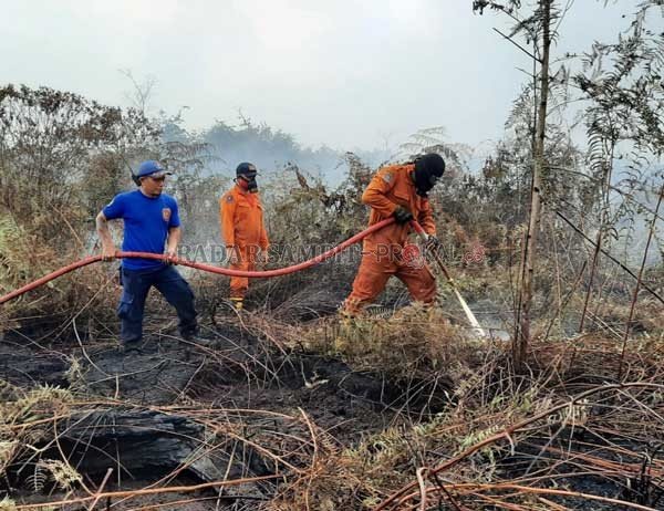 Upaya pemadaman dan pendinginan lahan gambut bekas kebakaran terus dilakukan. Hal ini dilakukan supaya api tidak muncul lagi. (BPBD KOBAR