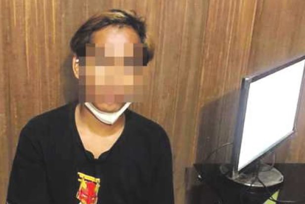 pelaku persetubuhan anak di bawah umur