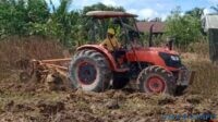 Traktor bajak sedang mengerjakan pengolahan lahan