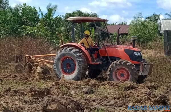 Traktor bajak sedang mengerjakan pengolahan lahan