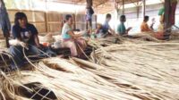Rotan Kotim