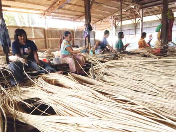 Rotan Kotim