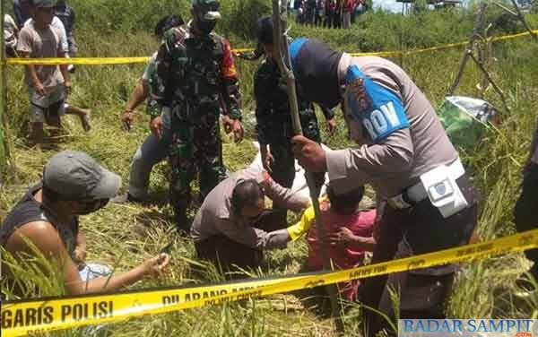 Tewas Diserang Pasukan Lebah