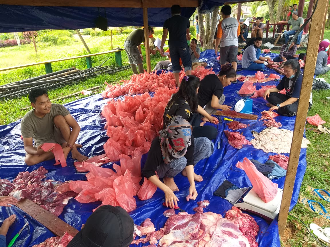 sapi