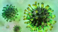 ilustrasi virus