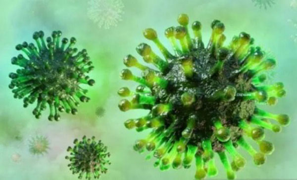 ilustrasi virus