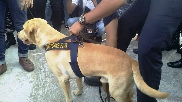 Kapuas kerahkan Anjing Pelacak Jaga Perbatasan