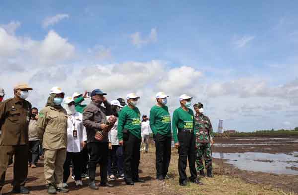 Walhi Kalteng Sebut Pemerintah Beri Harapan Palsu Proyek Food Estate
