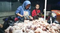 Harga Ayam Ras Jadi Pemicu Inflasi