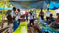 Lomba Balap Perahu Ces