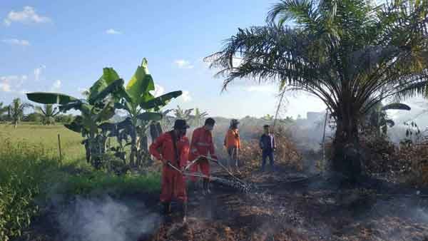 kebakaran Lahan Gambut Terbakar