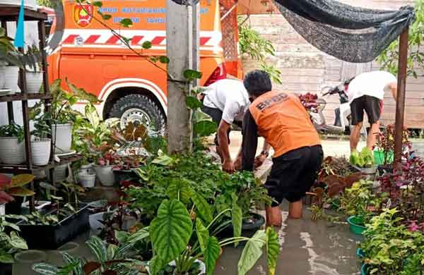 Program Nol Sumbatan