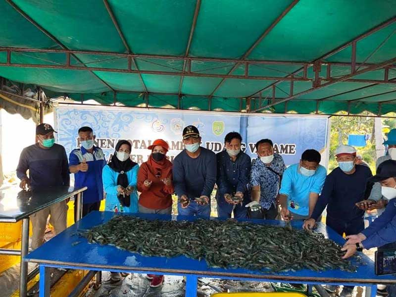Bisa mengalahkan satu tahun anggaran APBD,udang vaname,udang vaname air tawar,udang vaname harga,potensi budidaya undang vaname,Undang Vaname Air Tawar,Undang Vaname Harga,Undang Vaname,Budidaya Undang Vaname