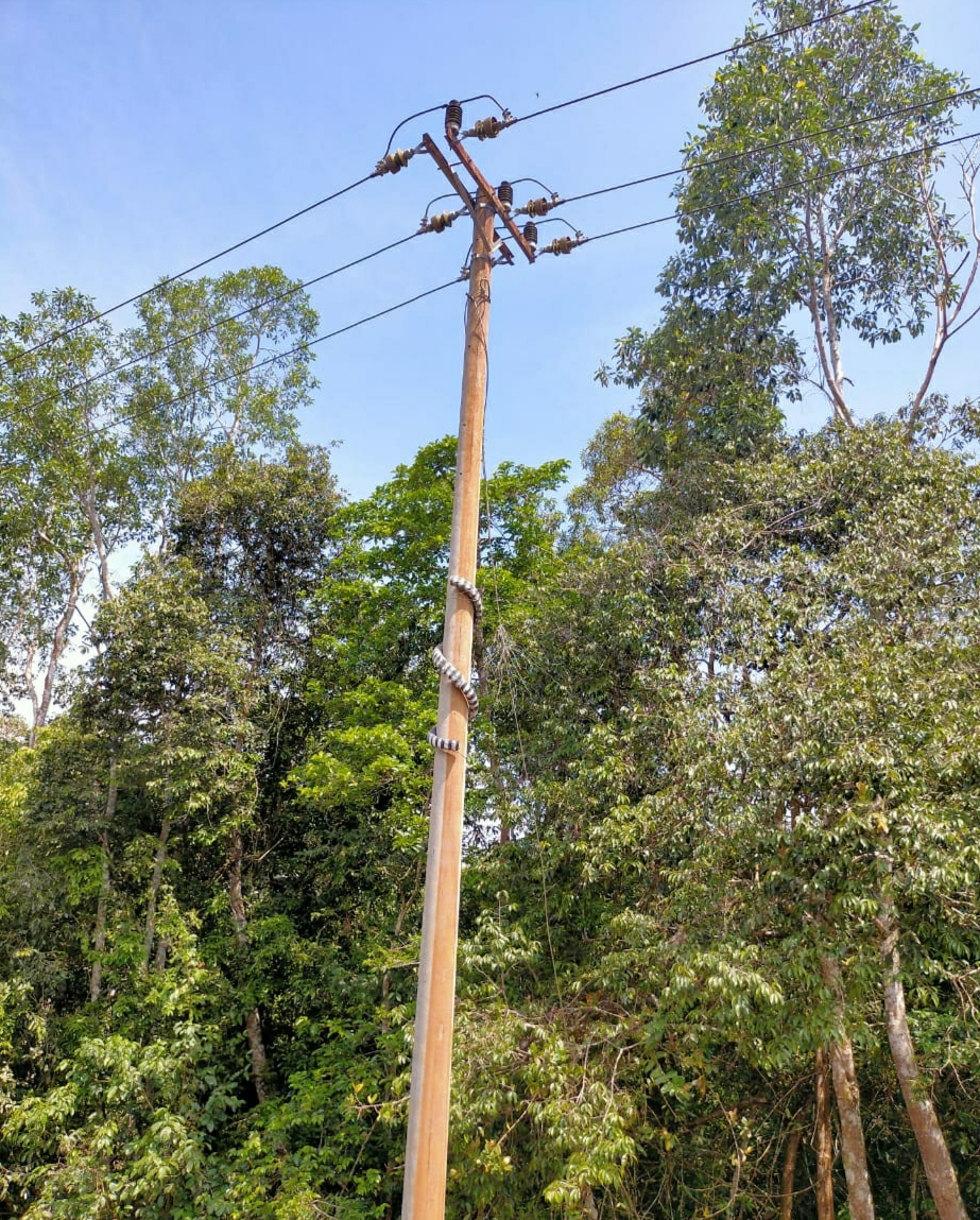 monyet nakal pemadaman listrik