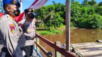 Ratusan batang kayu disita aparat
