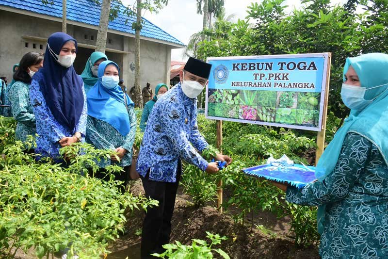 pkk kota palangkaraya