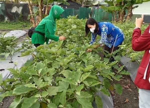 TNI Bagikan Panen Sayur ke Warga