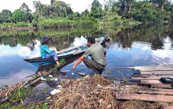 Banyak Buaya di Sungai Cempaga