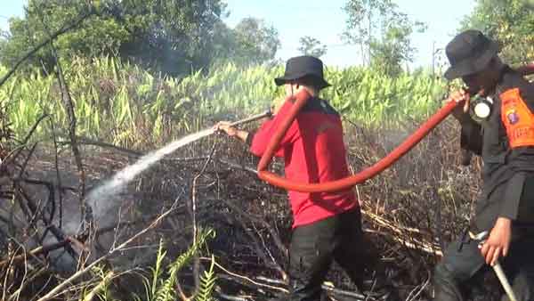 Dua Hektare Lahan Gambut Dibakar