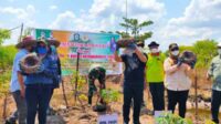 Kotim akan Bangun Pabrik Pengolahan Porang