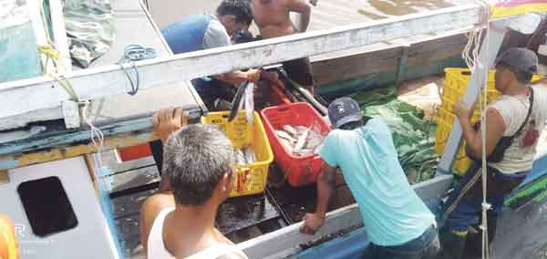 Hasil Laut Perairan Kumai