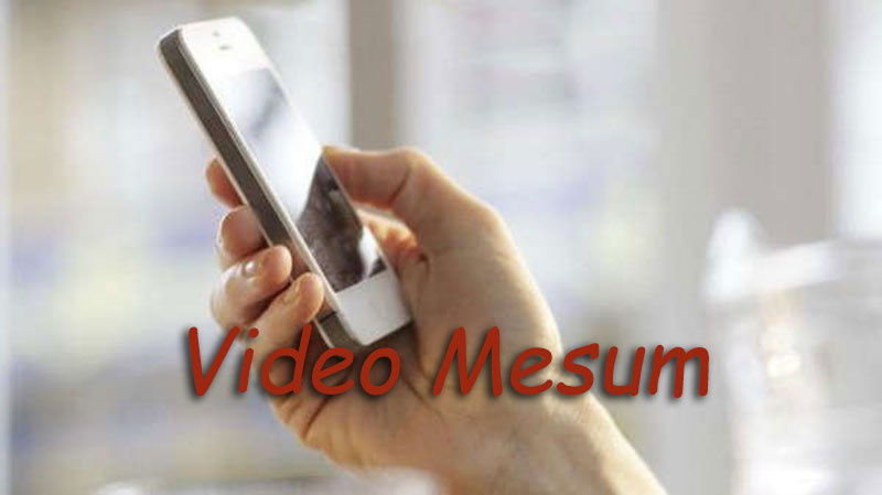 video mesum