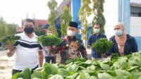 Bupati Kotim
