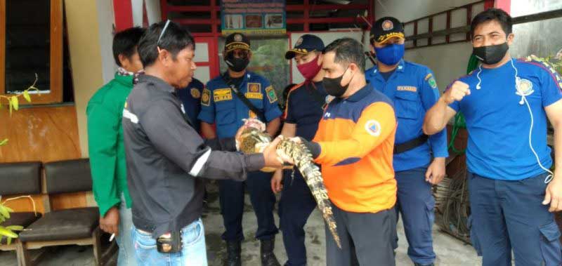 BUAYA Anak Buaya