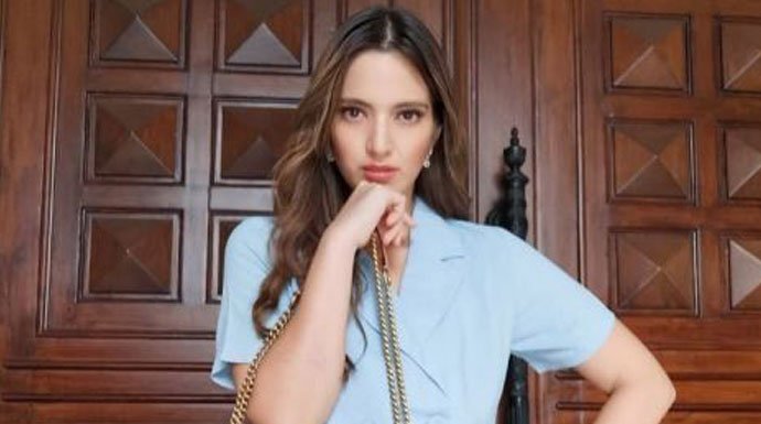 Nia-Ramadhani Nia Ramadhani dan Ardi Bakrie