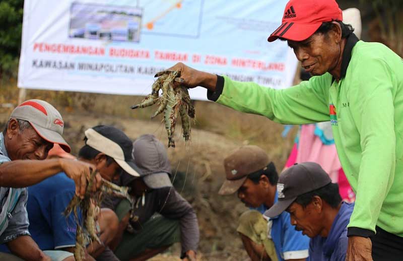 Udang Vaname