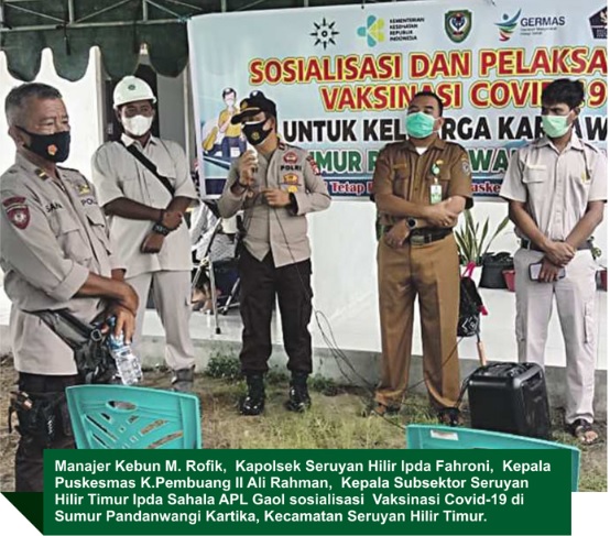 vaksinasi massal di perkebunan sawit