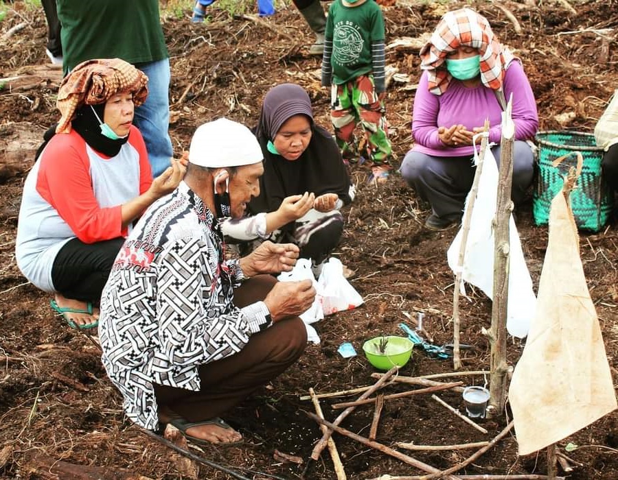 Komunitas Adat Sungai Batu Berladang Tanpa Bakar
