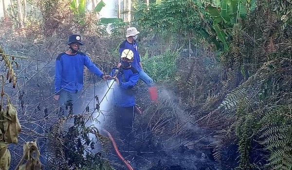 kebakaran hutan dan lahan