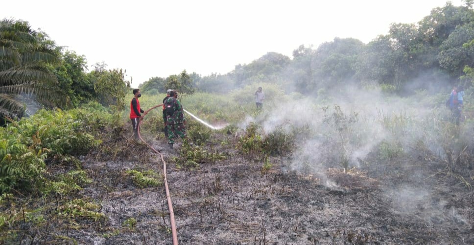 kebakaran hutan dan lahan