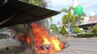 terbakar
