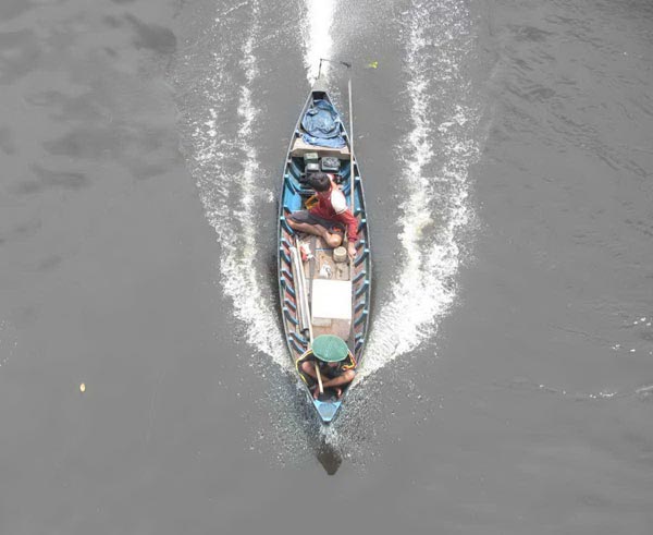 ikan