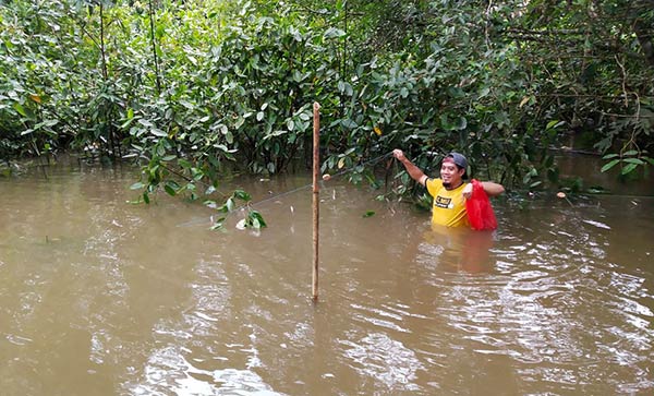 banjir