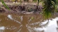 banjir