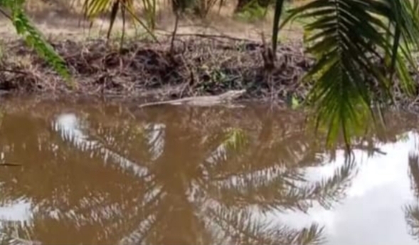 banjir