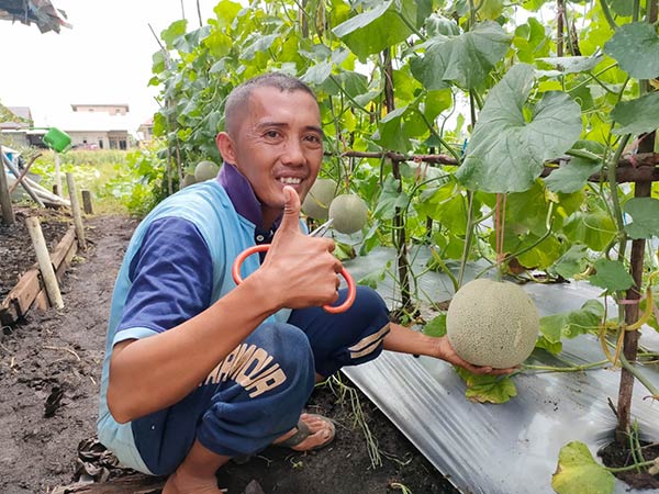 kebun