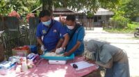 Kucing Terlantar Jadi Sasaran Vaksin